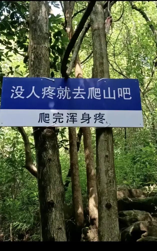 爬山还能“无痛”网友：这个太适合我了！