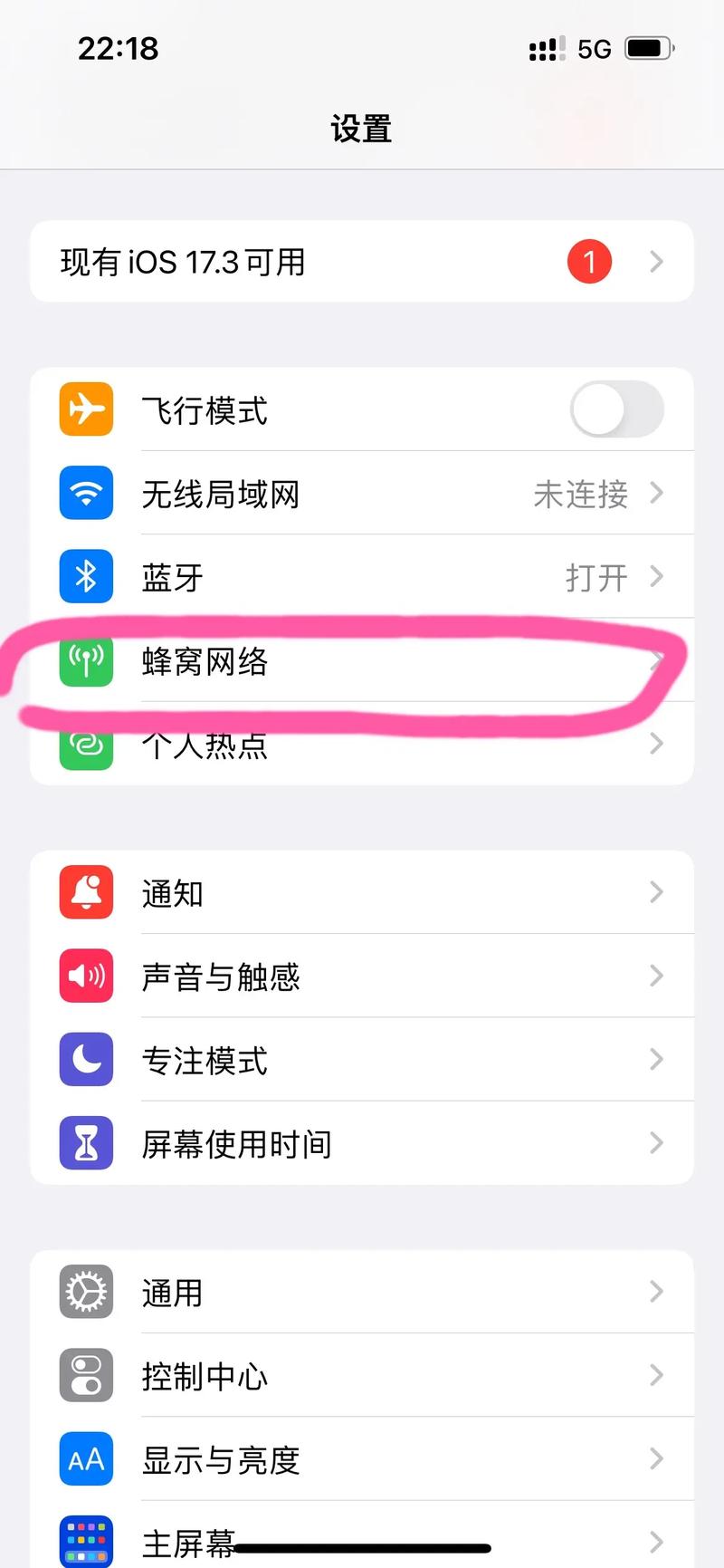 【苹果手机】如何打开漫游功能！