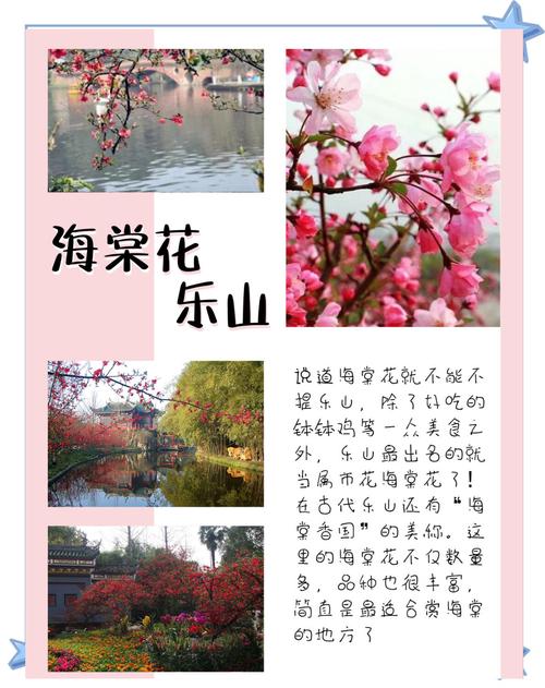 四川推出六条精春游赏花精品路线邀你共赏繁华盛景