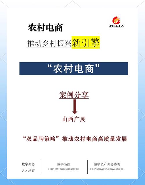 电商新势力崛起，背后藏着什么共性？