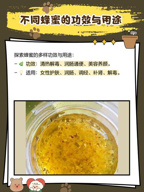 蜂蜜里的秘密已被揭开，里面含有多种糖分？看完长见识了