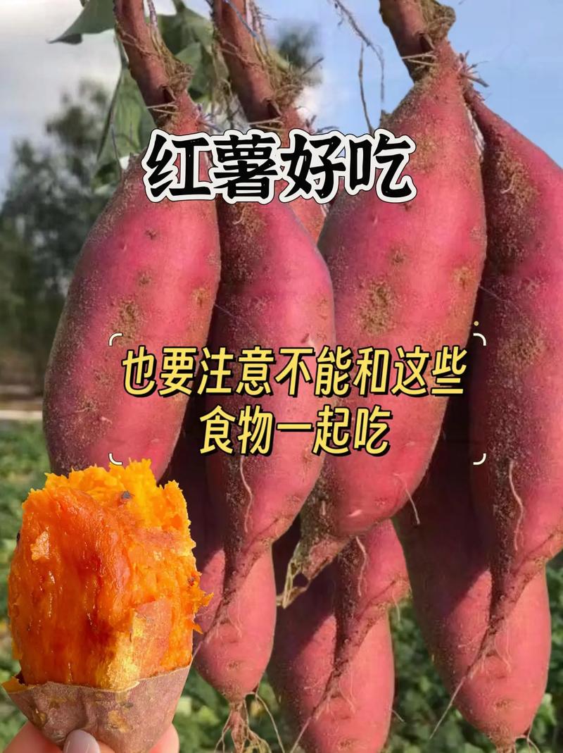 过了70岁红薯跟南瓜不能吃？告诫：年纪大了，这3样能不吃就别吃