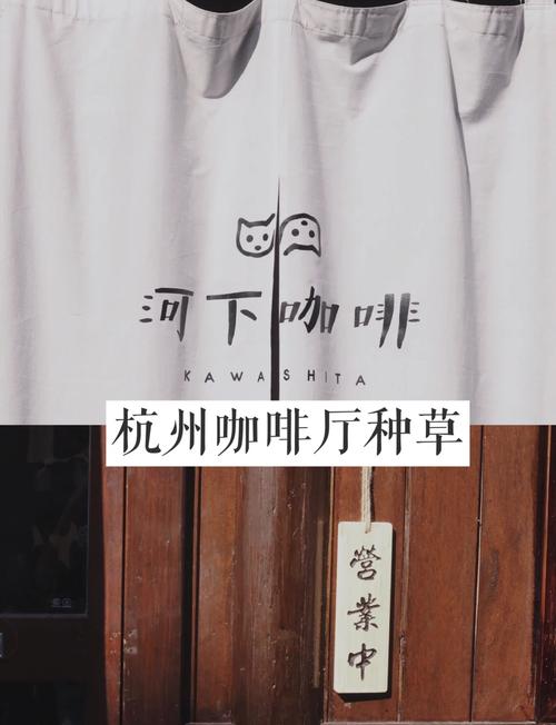 品悦咖啡时光，寻味百年河口！河口这场咖啡沙龙“喝”出文化味