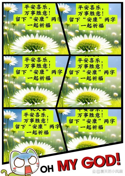 美食 第67页