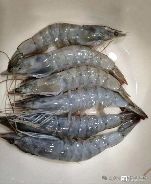 买大虾时，小心买到“激素虾”这四种尽量别买，为了健康要牢记