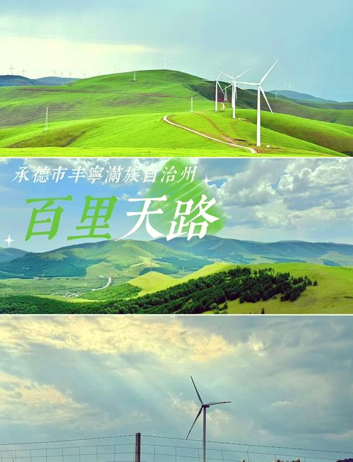 探索天路之巅，遇见高山花田