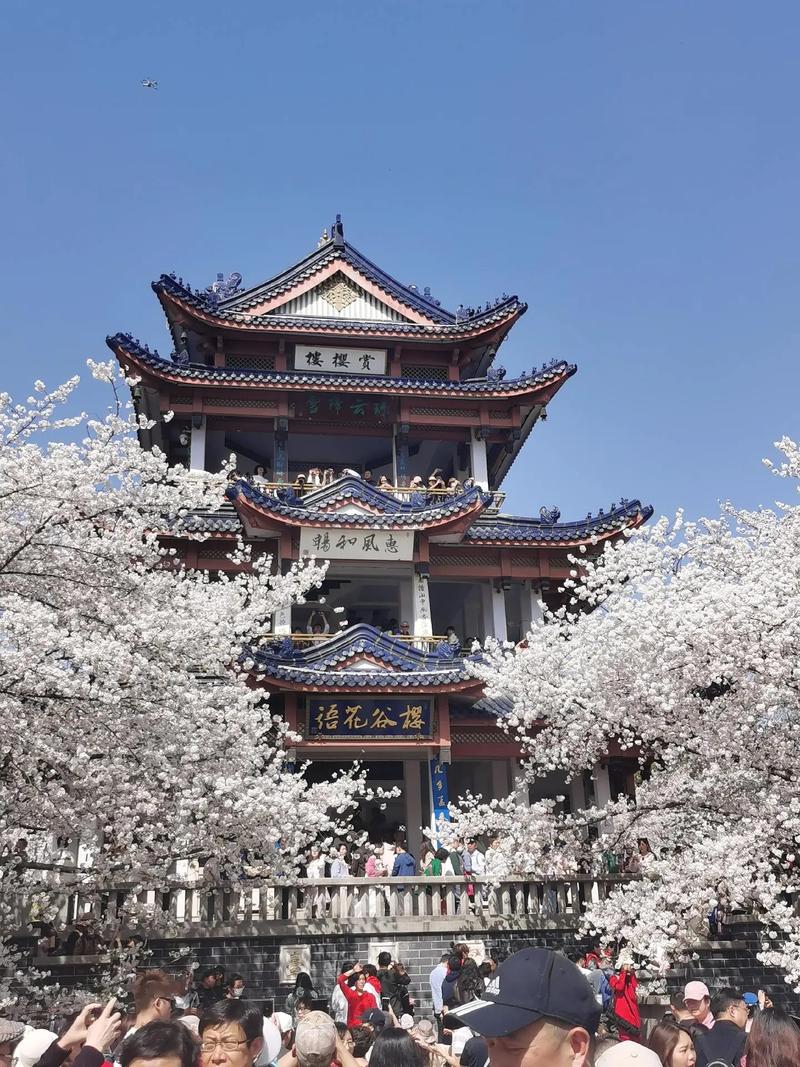 旅游 第87页