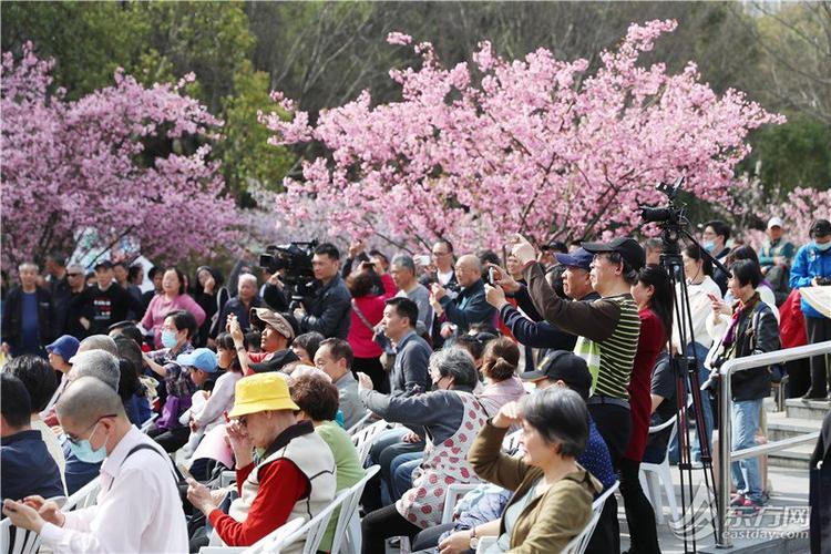 2025年黄兴公园海棠文化节开幕