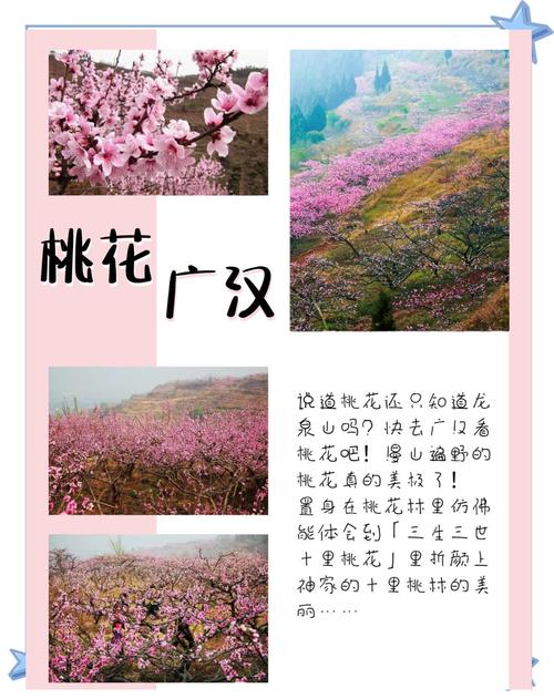 山上赏花山下赶集！彭州春日经济飘着中医药文化的香