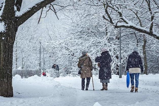 雪地的路，充满未知与艰险，就如人生的旅程。而搀扶