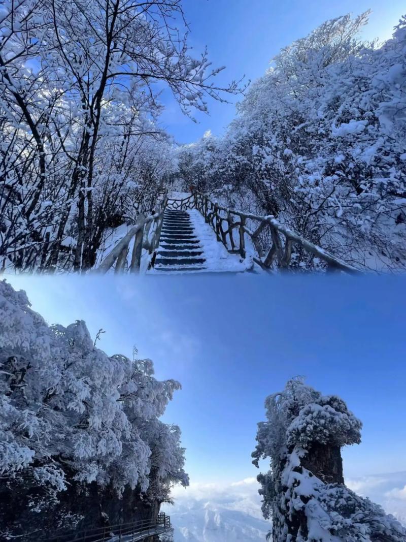 今日，汉中龙头山景区宛如梦幻冰雪世界