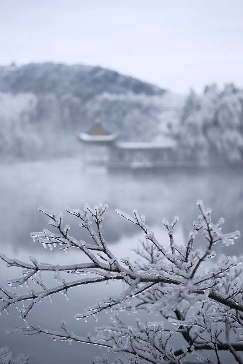 3月底了，庐山居然还下雪？