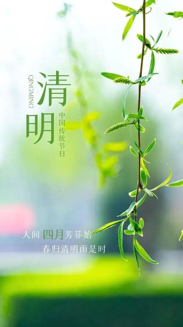4月4日清明节，记得“吃3样，喝2汤”遵循时令，健康过春