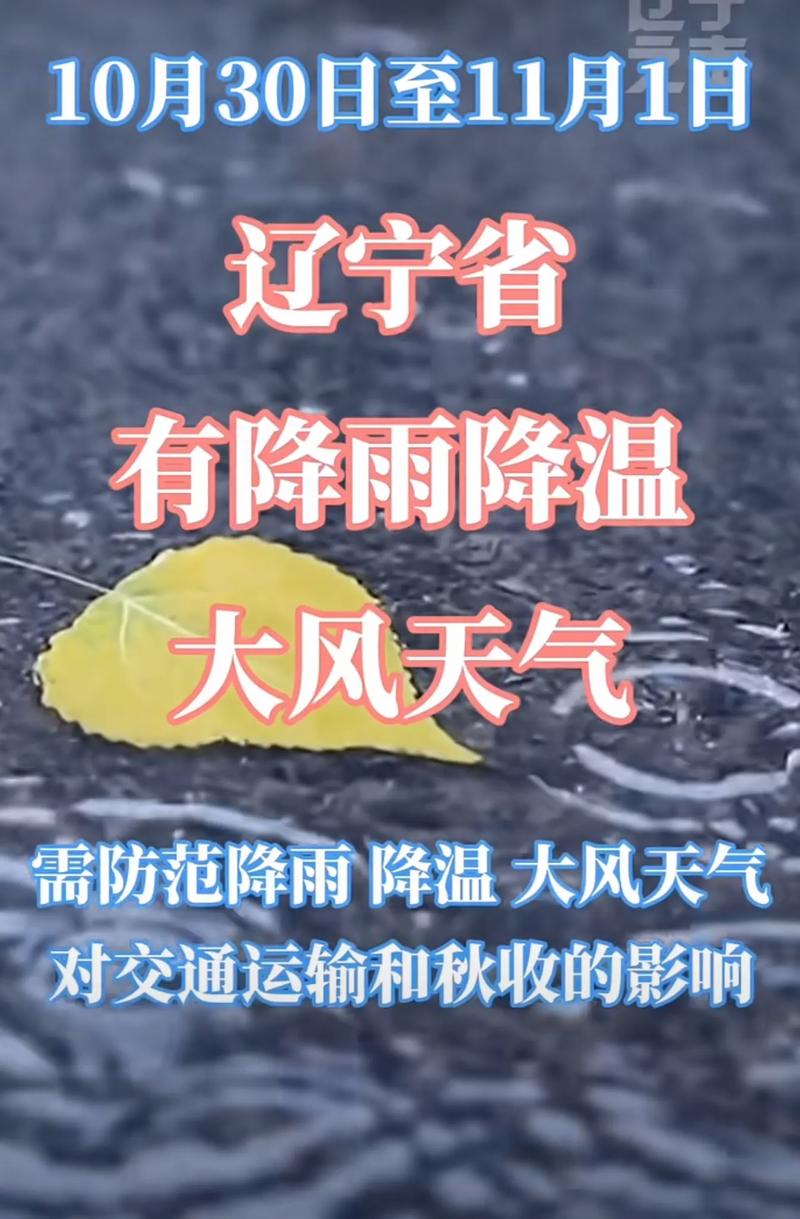 降温20℃九级大风，樱花樱花你还好吗？