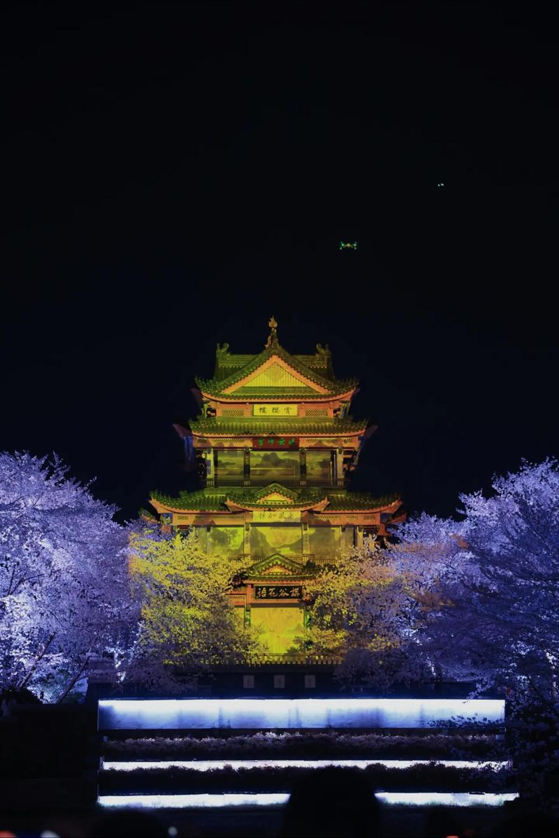 鼋头渚夜樱，这里是你的浪漫樱花打卡圣地