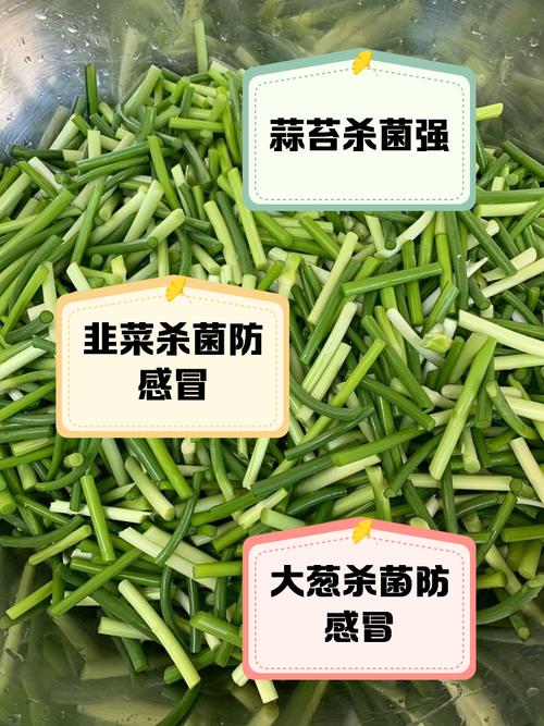 自带“青霉素”的菜，医生建议：春天经常吃，提高免疫力少生病！