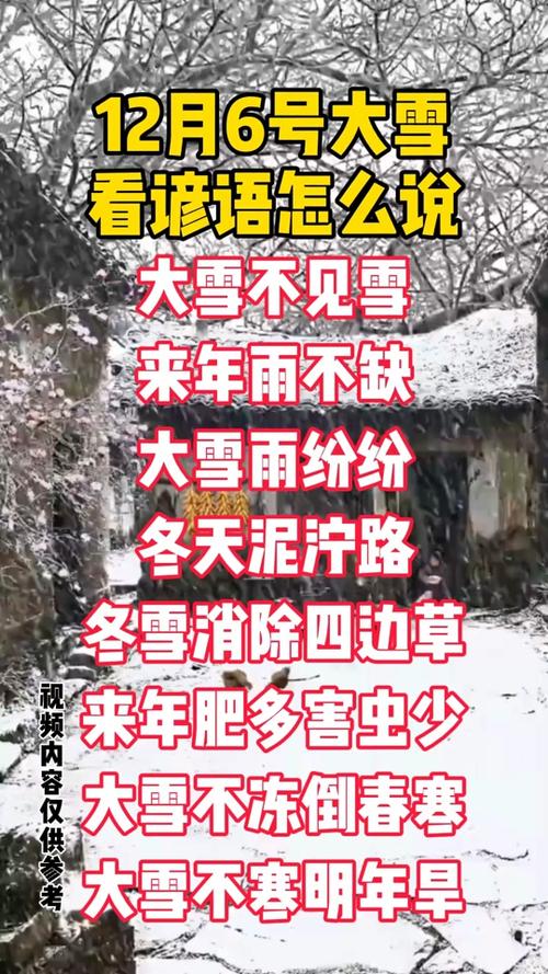 花都开败了你给我说下雪了？3月28日晚上#四明山 又给干上了雪