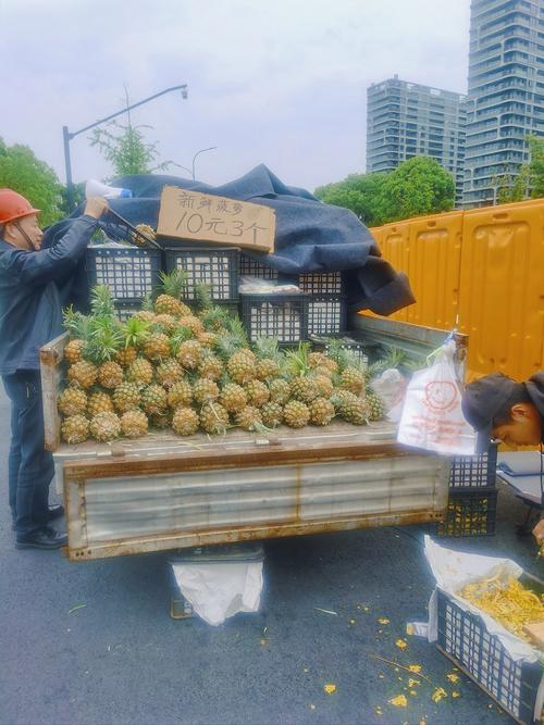 春天菠萝大量上市，路边的小摊看见这几种菠萝，千万不要买！
