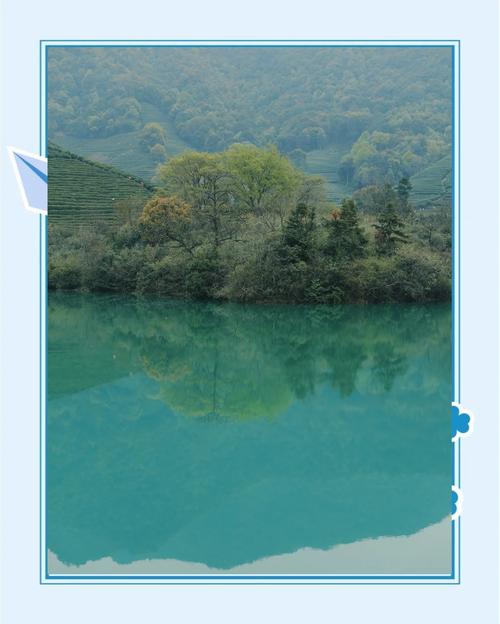阳春三月，随团旅游走近杭州西湖龙坞茶乡 茶是春天的仪式感