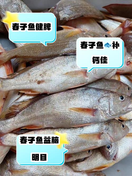 春天吃鱼有讲究！3种鱼要少吃，5种非常推荐，肉质紧，更鲜美！