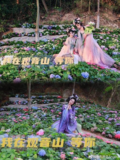 #春天的浪漫藏在东莞观音山 百花朝春会，福山共美景；清明正当时