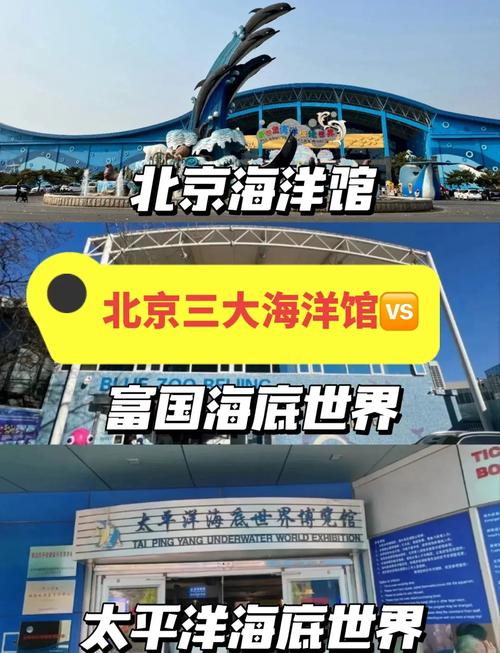 北京三大海洋馆春天一定要来太平洋海底世界 亲子游玩好去处