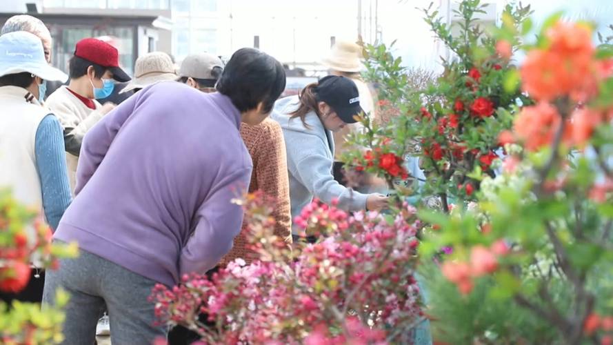 第十四届临沂市花沂州海棠文化旅游节暨海棠花卉展销会开幕