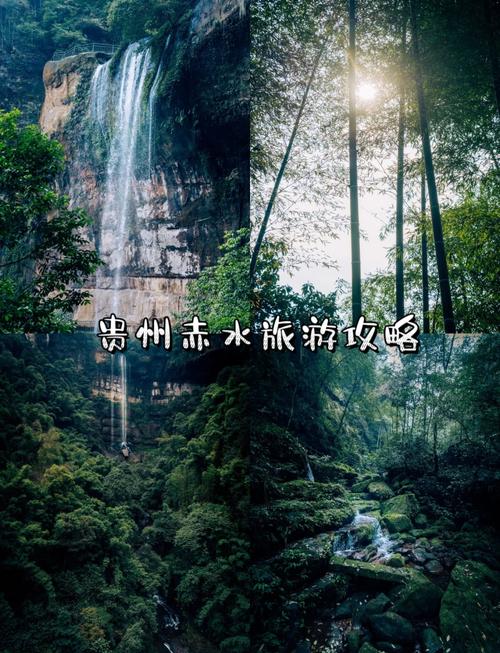 记录生活【打卡赤水竹海】景点打卡 记:3月26号宜见赤水2日游