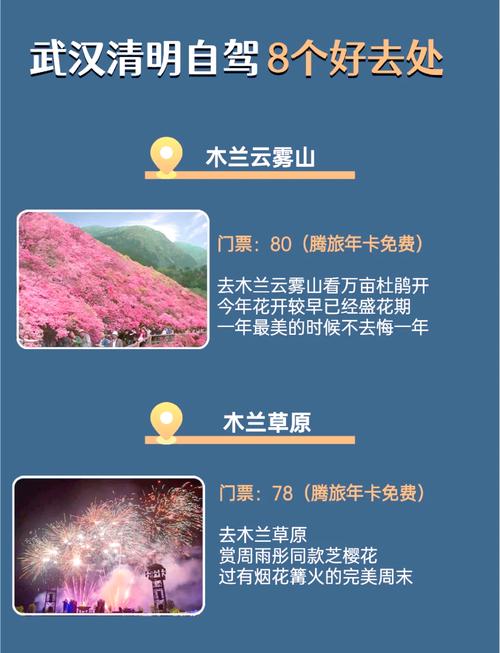 清明节踏青指南：邂逅春日花海，探秘山水秘境（湖北篇）