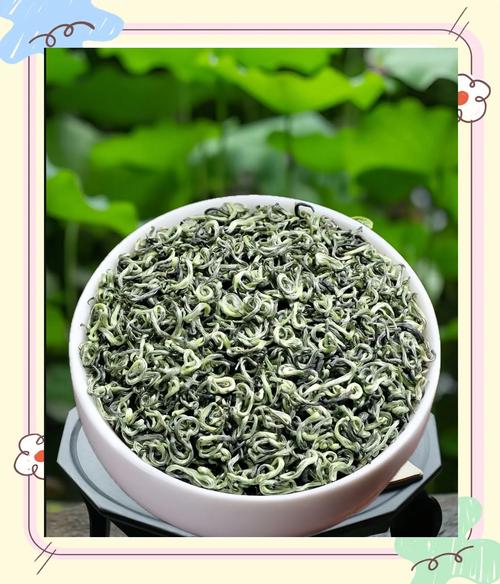 碧螺春色 茶韵东山 茶林雅集