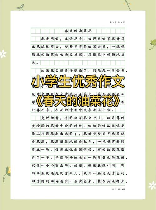 油菜花，一次性满足你对春天的所有想象，篱落疏疏一径深