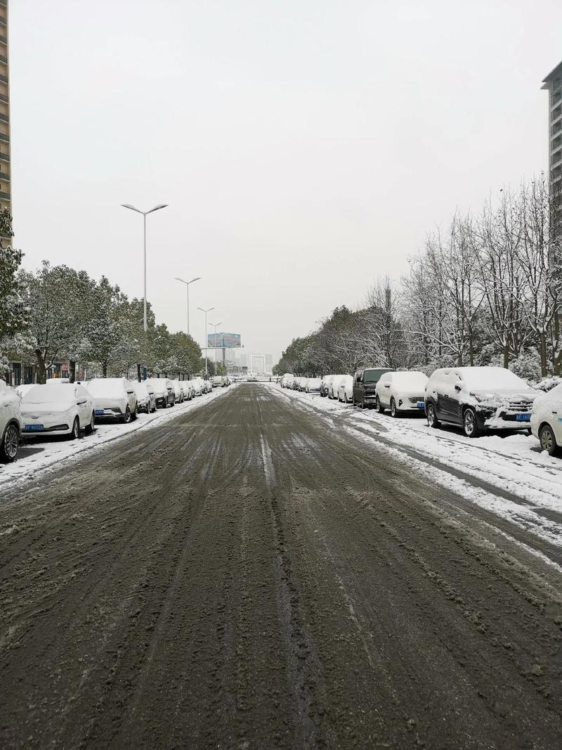 实拍！汉中多地迎来降雪！