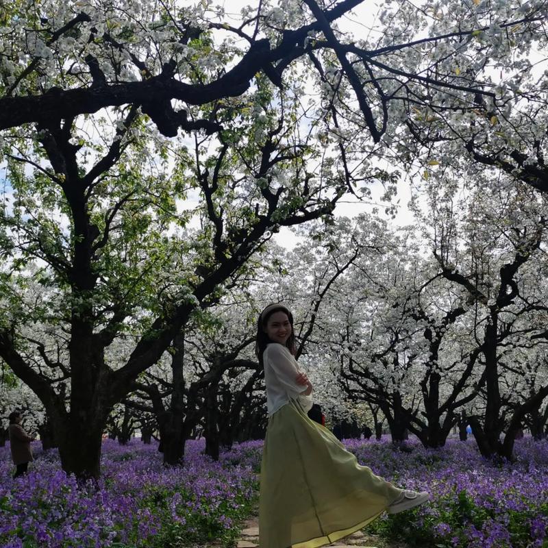 “春日宿迁三台山，梨园繁花待君赏”