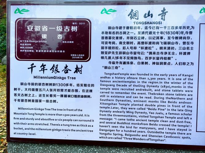 荥阳塔山自驾惊魂记：千年古塔与野生杏花的邂逅