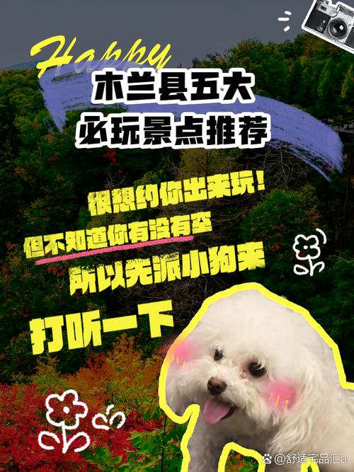 2025年3月 第8页
