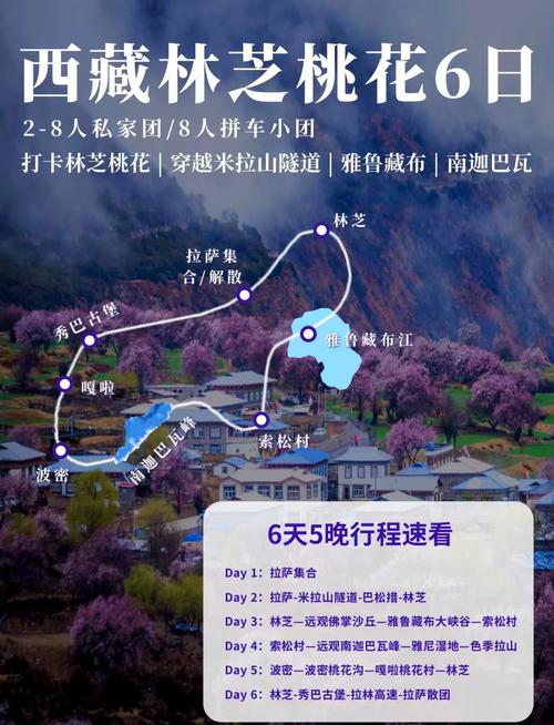 2025年3月 第5页