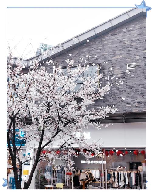 成都赏樱拍照圣地 都江堰的太平街，赏樱拍照绝了，纷围感满满