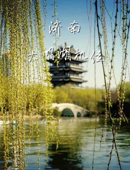 2025年3月 第4页