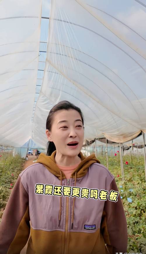 梅婷云南菜地摘花，素颜憔悴头发斑秃，穿土黄色衣服被认作农民