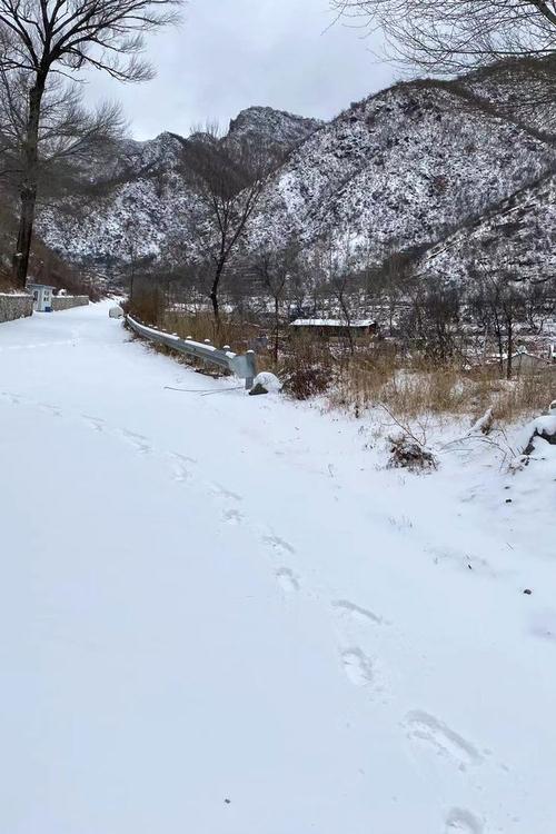当百花山遇到三月雪 三月的雪 突如其来的一场雪