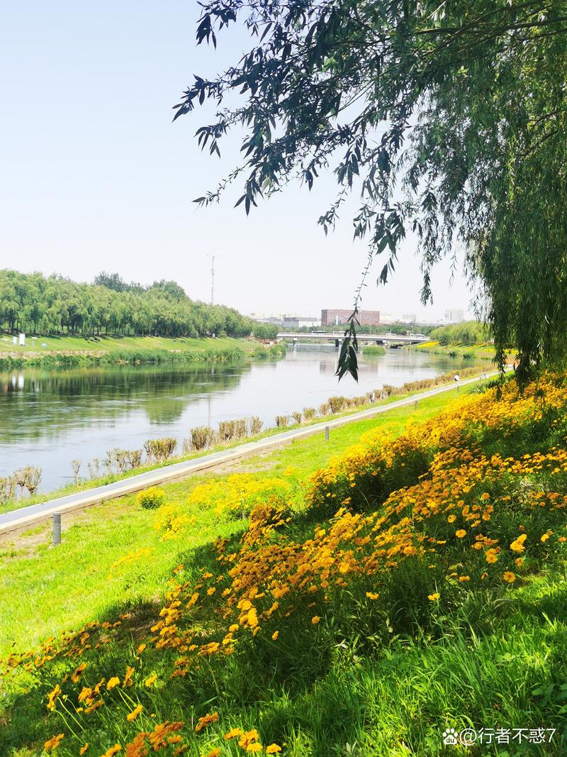 凉水河畔走一走，春和景明驱烦忧#头条首发