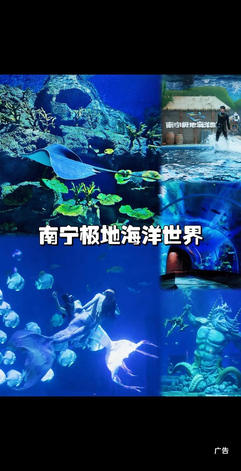 2025年4月 第210页