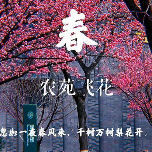 如诗如画春意盎然！春暖花开奔你而来