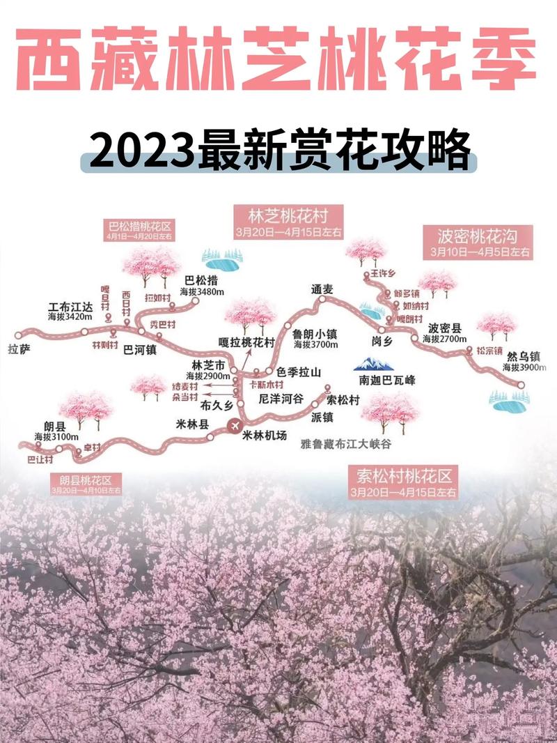 西藏林芝桃花进入盛花期！全网最全观赏地图请查收
