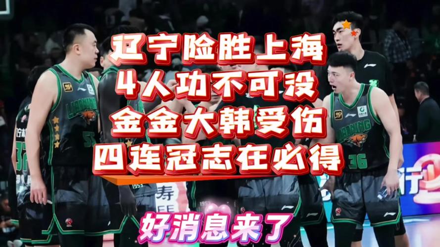 辽蓝伤情引发热议，背后真相竟如此！你怎么看？