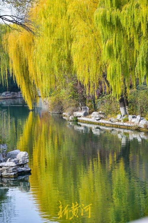 果然视频·好景山东|济南大明湖湖水如碧垂柳依，春日胜景美如画