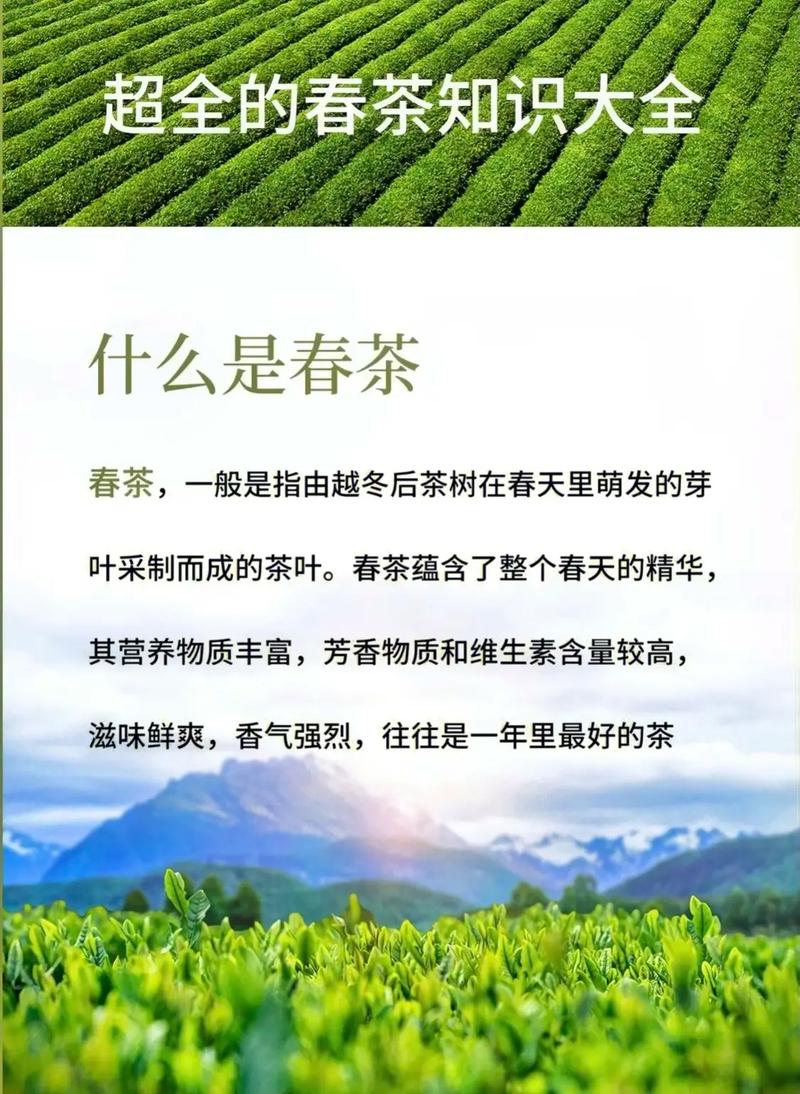 广德人春天的关键词：春茶！