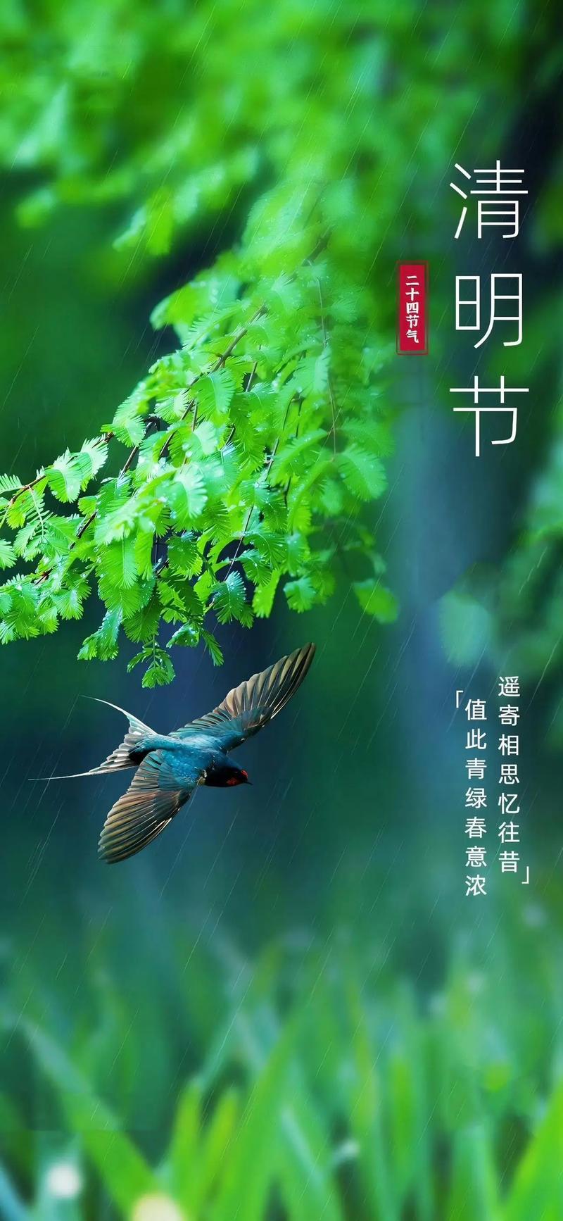 蒿香里的清明