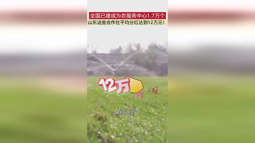 2025年4月3日 第5页