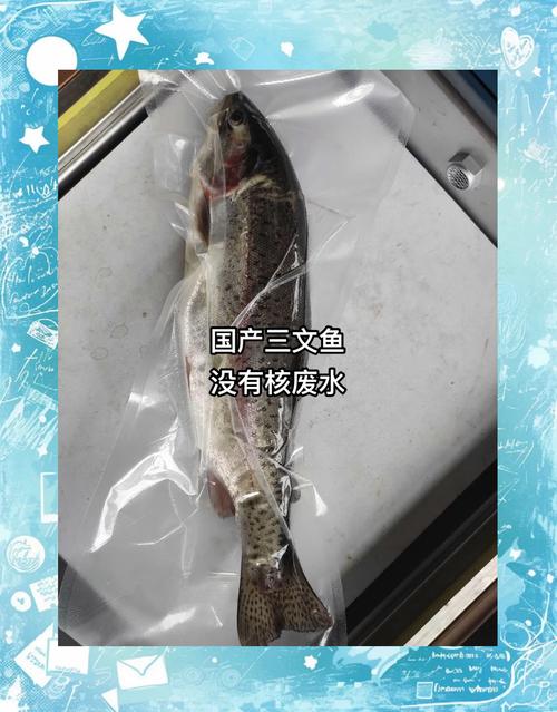 率先实现自然海域规模化养殖，山东人有望实现“三文鱼自由”